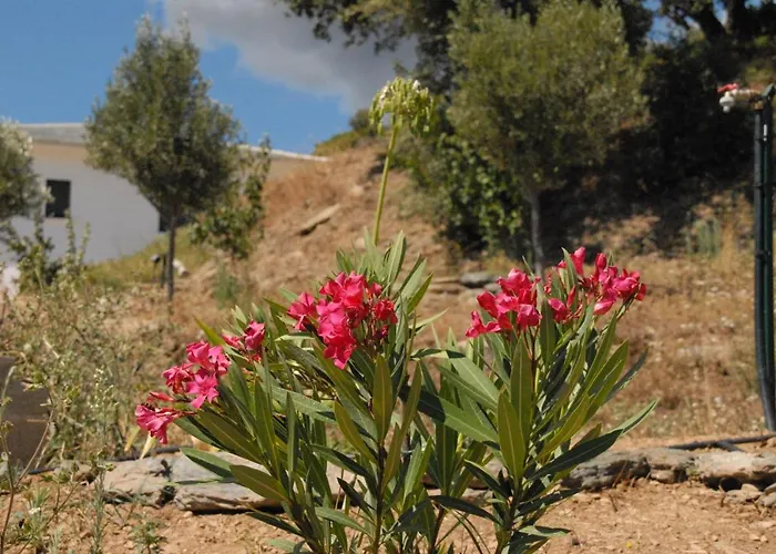Residence Bella Vista Santa-Maria-di-Lota