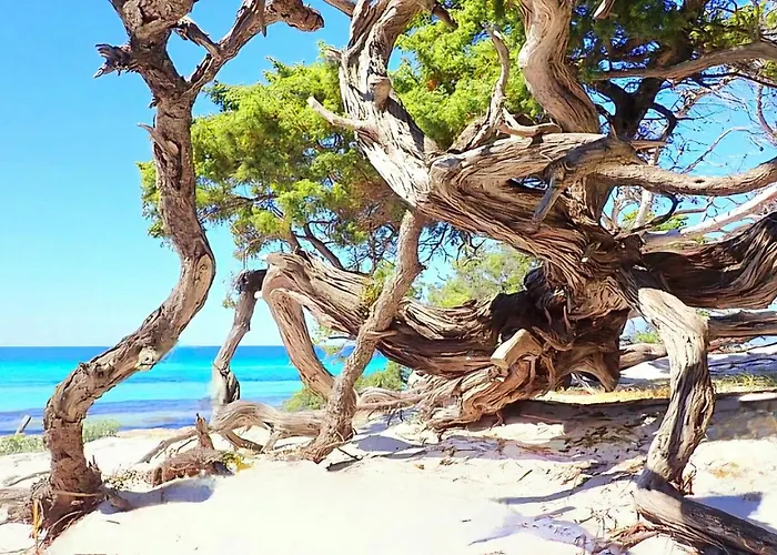 Residence Bella Vista * Santa-Maria-di-Lota