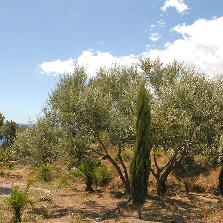 Vue Sur Apartamento Santa-Maria-di-Lota