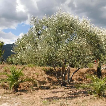 Appartamento Résidence Bella Vista Santa-Maria-di-Lota