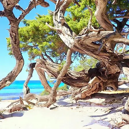 Residence Bella Vista * Santa-Maria-di-Lota