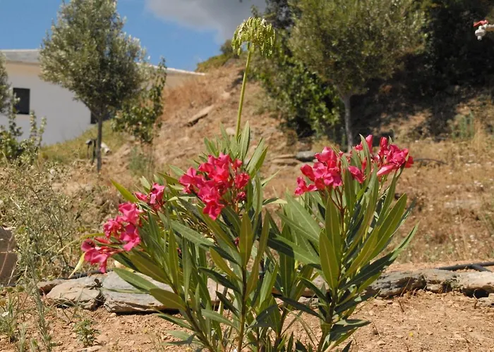 Residence Bella Vista