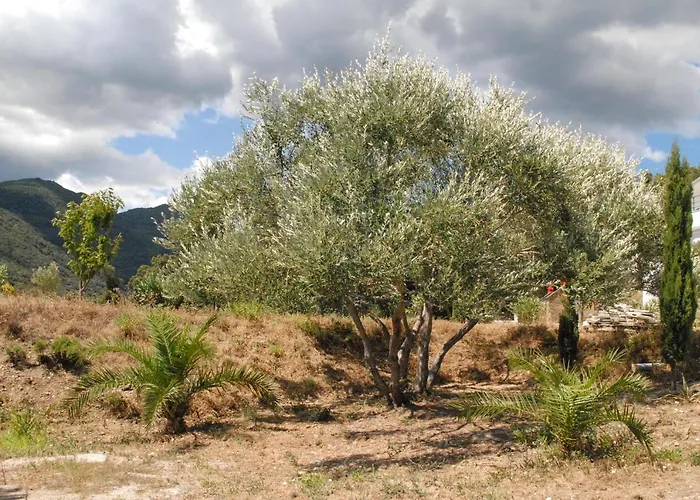 דירה Residence Bella Vista Santa-Maria-di-Lota